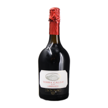 Emilia IGP Lambrusco Frizzante Rosso Secco 