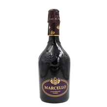 Emilia IGP Lambrusco Spumante Rosso Dry 