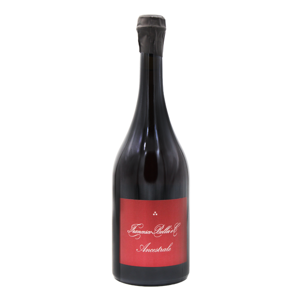 Lambrusco di Sorbara DOP 