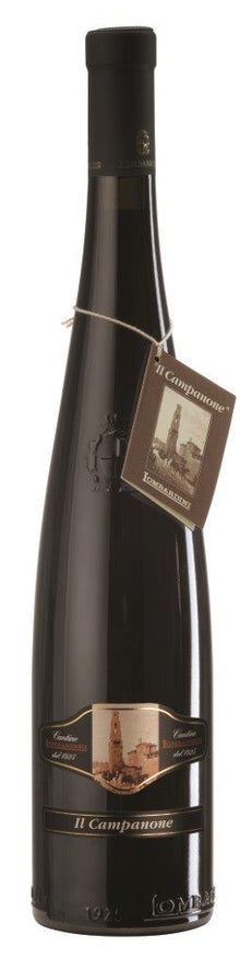 Reggiano DOP Lambrusco Rosso Secco 