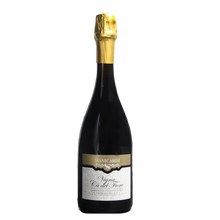 Lambrusco Grasparossa di Castelvetro DOP Secco 