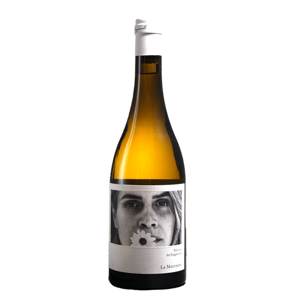 Emilia IGP Malvasia 