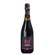 Lambrusco Grasparossa di Castelvetro DOP Secco 